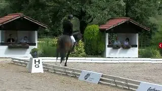 Frank Freund & Royal Cabaret (Royal Doruto x Cabaret) - Reitertage Hagau Dressurplatz