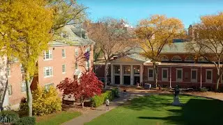 Why Choose the IE Brown Executive MBA? | Student Insights