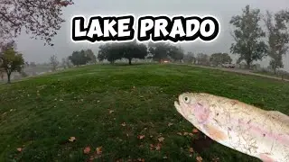 TROUT LIMIT CHASE + LIGHTNING TROUT HUNT! Back at Prado Before Christmas! 🎄🎣 Truchas!