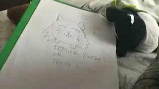 DJLovesTurbo fan art (His cat) Hate all you want. I love your vids Dj