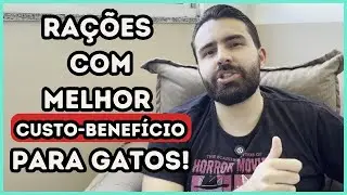 A Ração Com Melhor Custo-Benefício Para Gatos (2025)