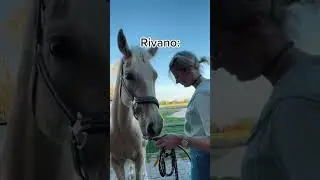 &Uuml;ber 5.500&euro; 😳 Was zahlst du? #equestrian #asmrjanina #pferde #pony #shortsfeed #shortvideo