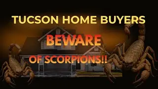 Tucson Home Buyers Beware of Scorpions!!! By Tucson Oro Valley Realtor Ryan Comstock