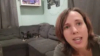 Management- Dog Training Basics