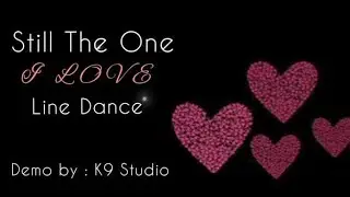 Still The One I Love - Line Dance - Advanced Level - Jose Miguel Belloque Vane - K9 Studio