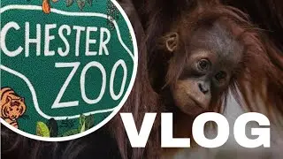 CHESTER ZOO VLOG #chesterzoo 🦍🦧🦓🐅🐆🦩🦤🦏