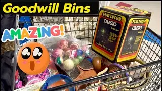 FANTASTIC Day Thrifting at the Goodwill Bins for Resale | AMAZING Vintage Treasures 