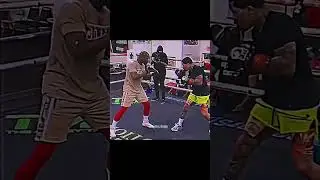 Tank HeadMovement💨🛡#tankdavis #abdulwahid #boxing #headmovement #boxerworld #americanboxer