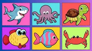 Maratona fundo do mar - V&iacute;deo educativo para crian&ccedil;as!