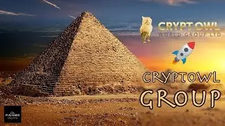 مراجعة موقع Cryptowl Group الاستثماري