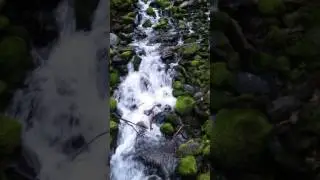 Sol Duc Trail Cascade Olympic National Park Kaiyote Tours