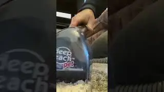 Eliminate Cat Urine Stains with Bissell Pet Pro & Deep Reach Tool