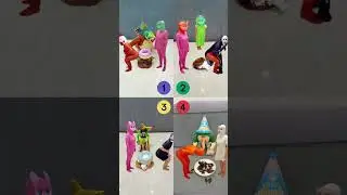 happy birthday collection