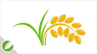 Sheaf of wheat Drawing with CorelDraw | Flat Vector Style | Drawing | CorelDraw Tutorial