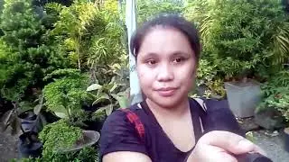 I visit the Guiguinto, Bulacan Tourist Attraction  || Vlog