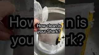 How Clean is Your Shark Vacuum Dust Cup? #cleaning