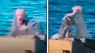 Mermaid Sightings Scientists Are CONVINCED Are Real