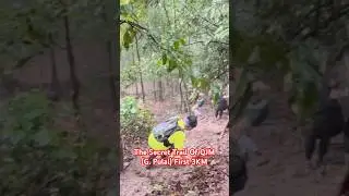 First 3KM -The Secret Trail Of QJM ( Gunung Pulai)  #runningupthathill #QJM #Pulai #TransQJM