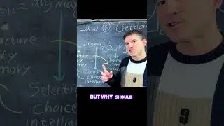 Why Does Life Exist? Science Reveals The Secret! #shorts