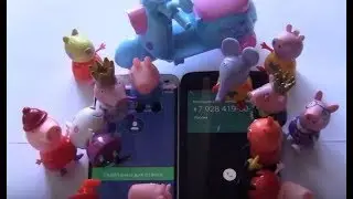 Incoming call Peppa pig party
