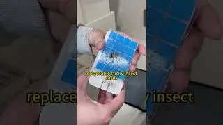 Effective Indoor Bug Catchers You Can Buy in 2025