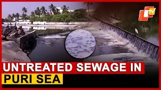 Untreated Wastewater Flowing Into Puri Sea; WATCO Announces Rs 37-Crore Treatment Upgrade