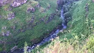 Лори Берд