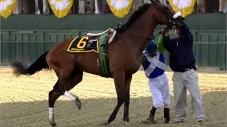 Ethics of Horse Racing