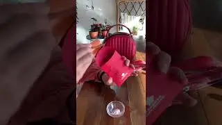 Attract wealth with this Feng Shui wallet trick! 💰✨ Try it for abundance & prosperity! 🍀 #fengshui