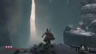 Snake Eyes Shirafuji (No damage)