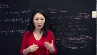 So-Young Kang: Global Leadership - True Meaning of Integrity