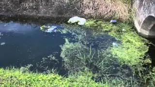 3 A Model of Florida's Groundwater