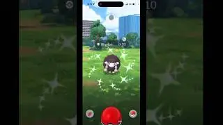 ✨NEWEST Shiny Pokemon CAUGHT✨ Pokemon GO ! #shinyencounter #pokemon #shinyraid #shinypokemon