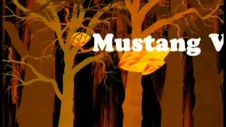 Mustang Vision, November 8th, 2019