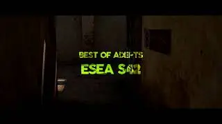 CS:GO - Best-OF ADEPTS at ESEA S42