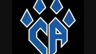 Cheer Athletics Panthers 2009