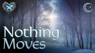 🌙 Still Winter Birchwood | 8 Hour Celtic Sleep Music for Deep Rest, Night Calm & Gentle Comfort