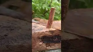 Hole fix Tips | Usefull Diy Vedio  | tips and tricks | #craft #tips