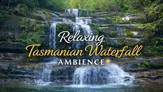 2 Hours of Liffey Falls Waterfall Ambience 🌿 Relaxing Forest Sounds for Sleep, Study & Stress Relief