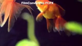 FilmConvert Pro FCPX