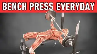 What Will Happen To Your Body If You Bench Press Every Day