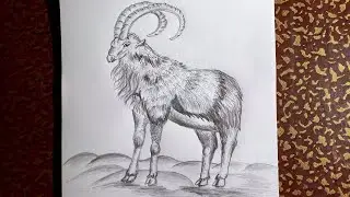 How to Draw Mountain Goat with Step by Step