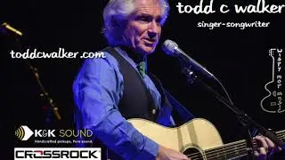 Crossrock CRF2020D Fiberglass Acoustic Guitar Case Review - Better Protection for your Guitar