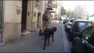 Segway