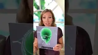 Простейшие | Паразиты, которых вам не захочется иметь 🤮 #шорты