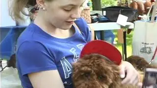 Woofstock | Springfield5