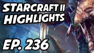 StarCraft II Daily Highlights | Ep. 236 | Pengwin_sc, Nerchio, DeMusliM, Avilo, MCanning, brialeigh