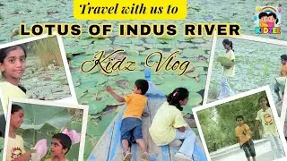 Lotus Flowers Vlog 🌸 | Boat Ride Adventure in Sindh River