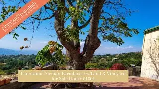 Near Mt. Etna, Sicily, Italy - Idyllic Panoramic Farm for Sale Under 150k Euros