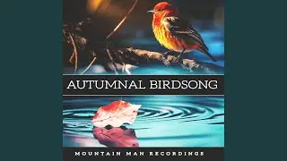 Constant Harmony